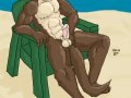 beachotter.jpg